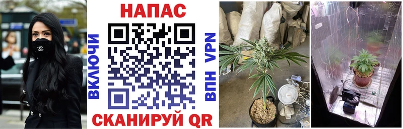Какие есть наркотики Кондрово A-PVP  COCAIN  ГАШ  гидра ссылка  Бошки Шишки  Меф мяу мяу 
