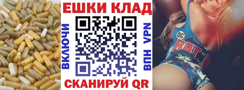 ЭКСТАЗИ 250 мг ОМГ ОМГ как зайти Кондрово