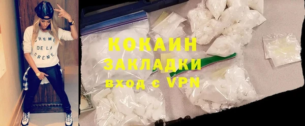 прущие грибы Балахна