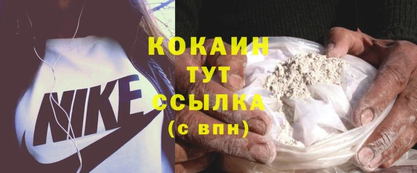 прущие грибы Балахна