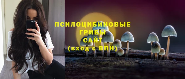 прущие грибы Балахна