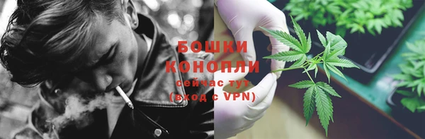 прущие грибы Балахна