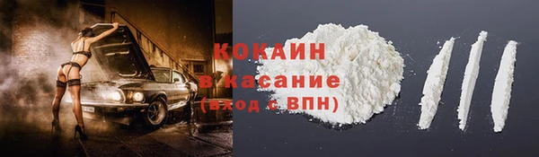 прущие грибы Балахна