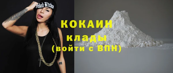 мяу мяу мука Баксан