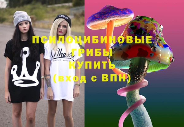 прущие грибы Балахна