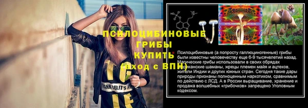 мяу мяу мука Баксан