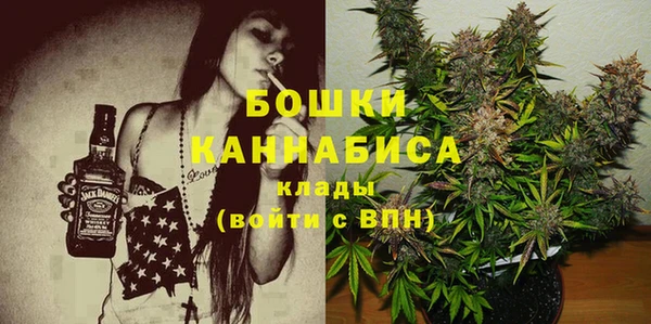 прущие грибы Балахна