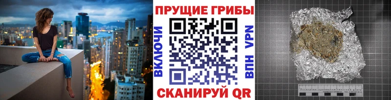 Псилоцибиновые грибы мицелий  купить наркоту  Кондрово 